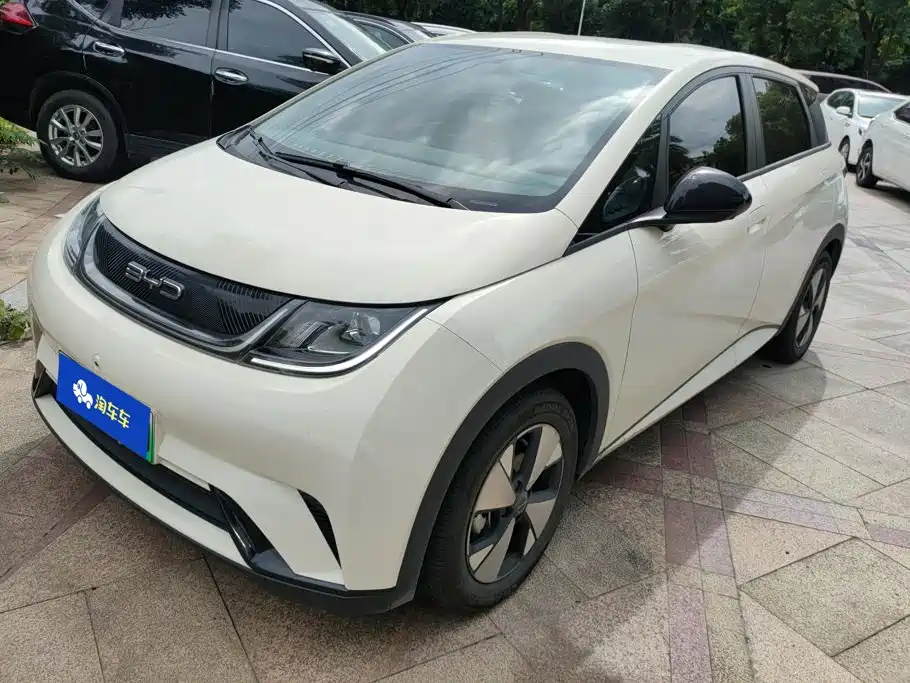 BYD Dolphin 2023 420km Freedom Edition