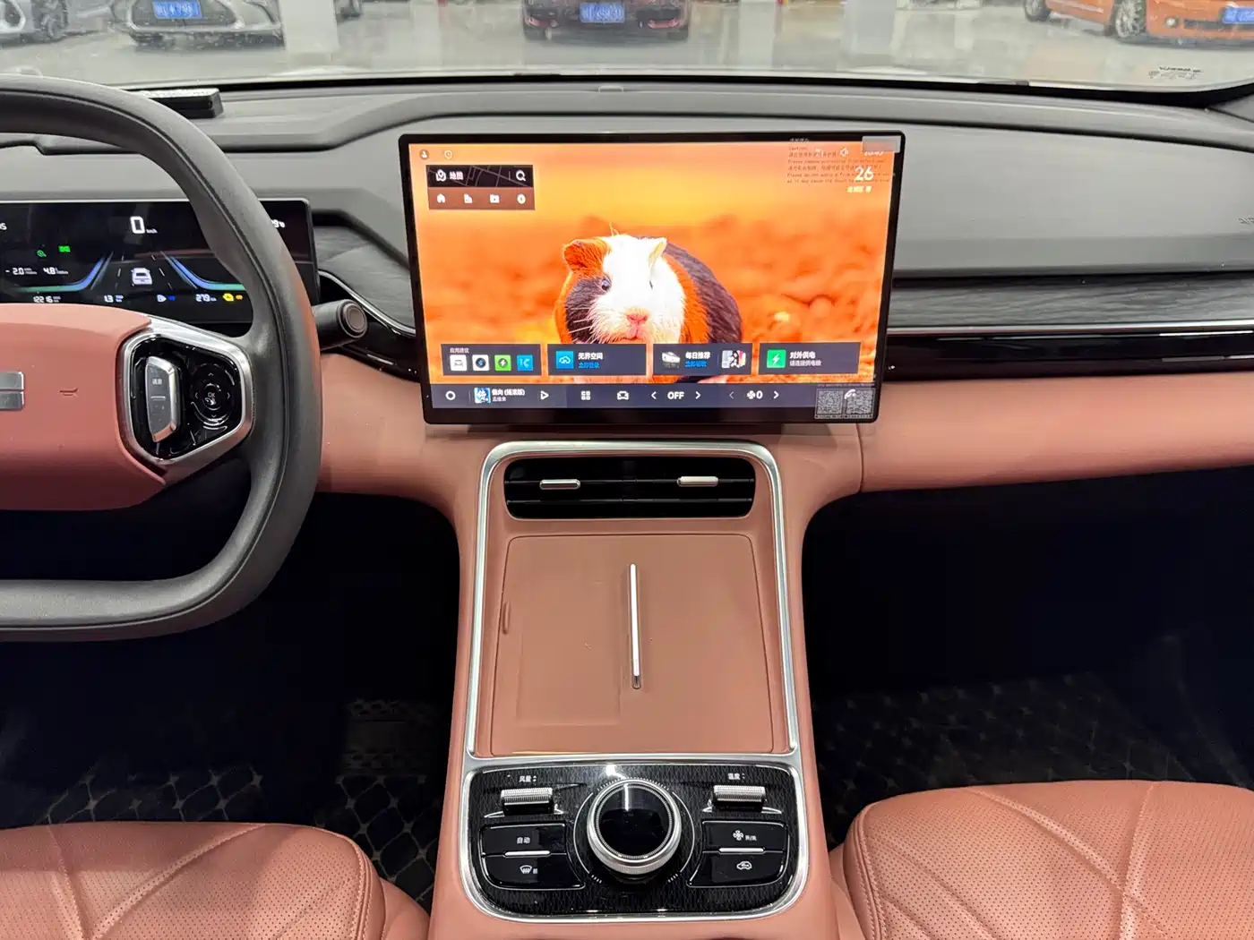 Geely Galaxy Galaxy L6 2025 EM-i 60km Voyage Edition фото 10