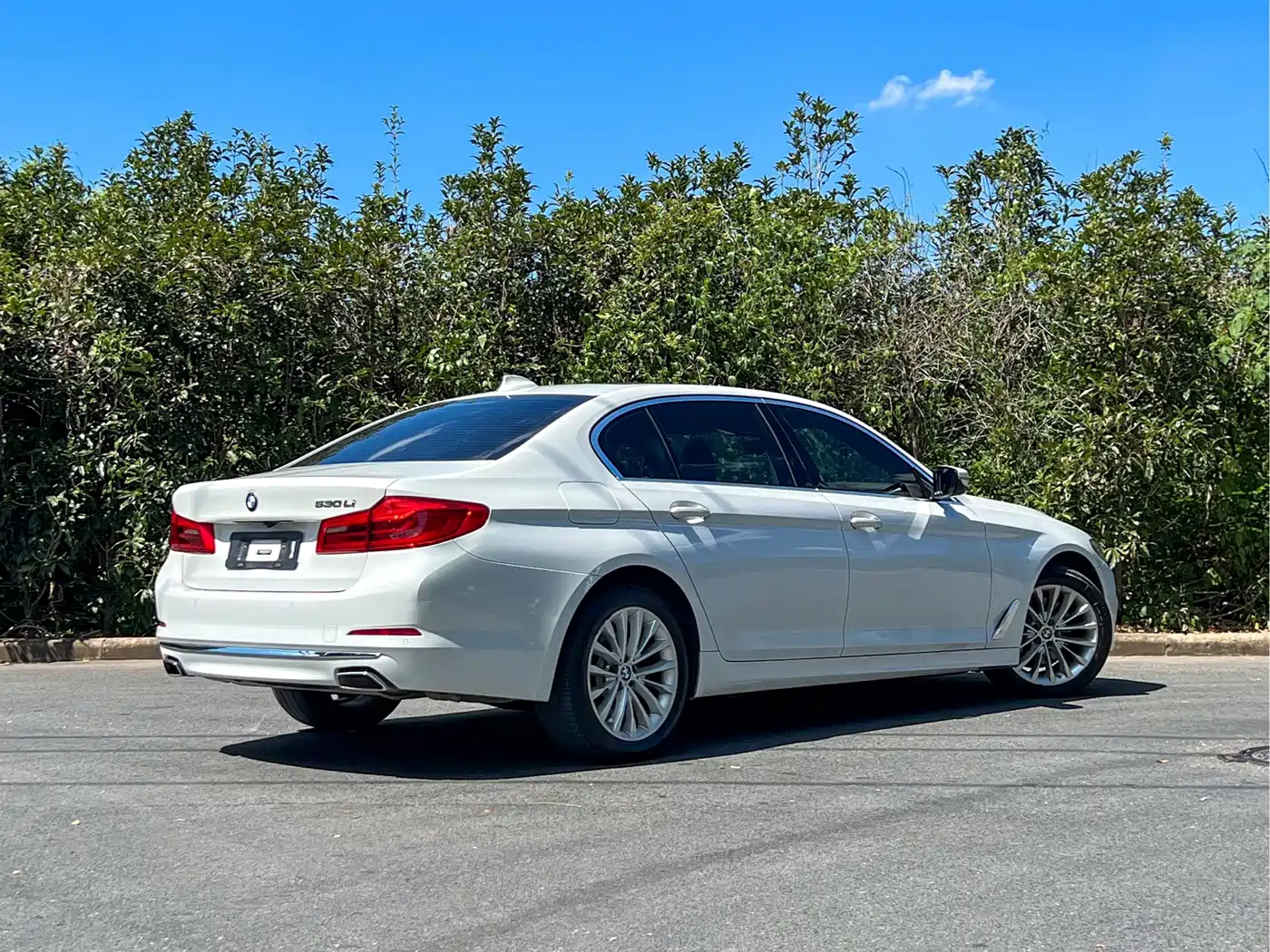 BMW 5 Series 2020 530Li Leading Luxury Package фото 4