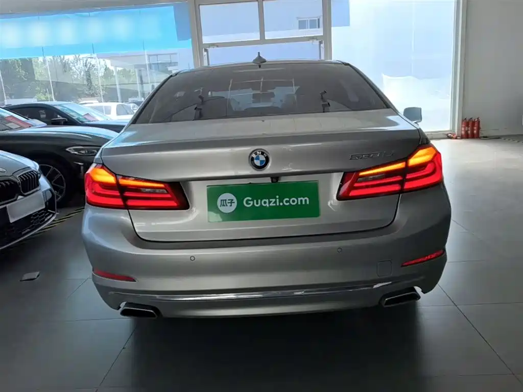 BMW 5 Series 2020 530Li Leading Luxury Package фото 6