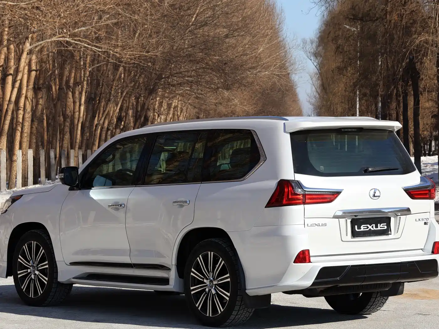 Lexus LX 2019 570 Peak Special Edition фото 9