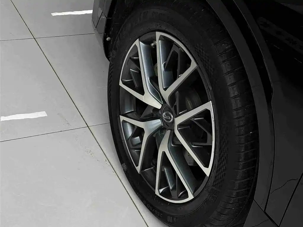 GAC Trumpchi Trumpchi GS8 2022 Dual Engine Series 2.0TM 2WD Premium Edition (6-Seater) фото 36