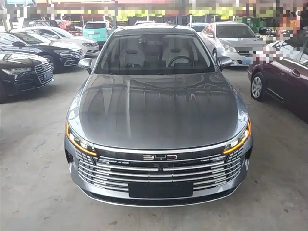 BYD Destroyer 05 2022 DM-i 55KM Luxury фото 3