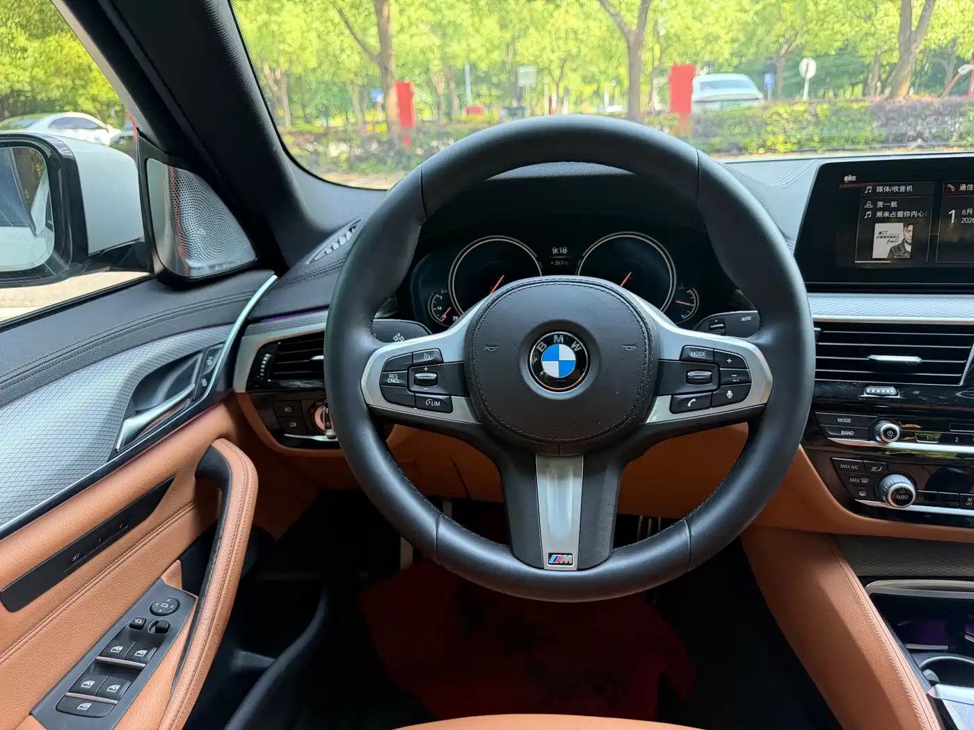 BMW 5 Series (Import) 2018 525i M Sport Package фото 9