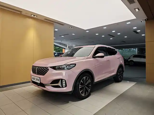 WEI PAI WEI BRAND VV6