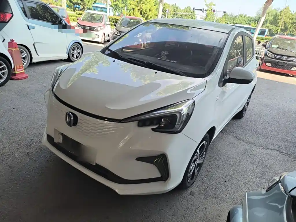 Changan Benben E-Star 2020 2020 Heartbeat Edition (NMC Battery)