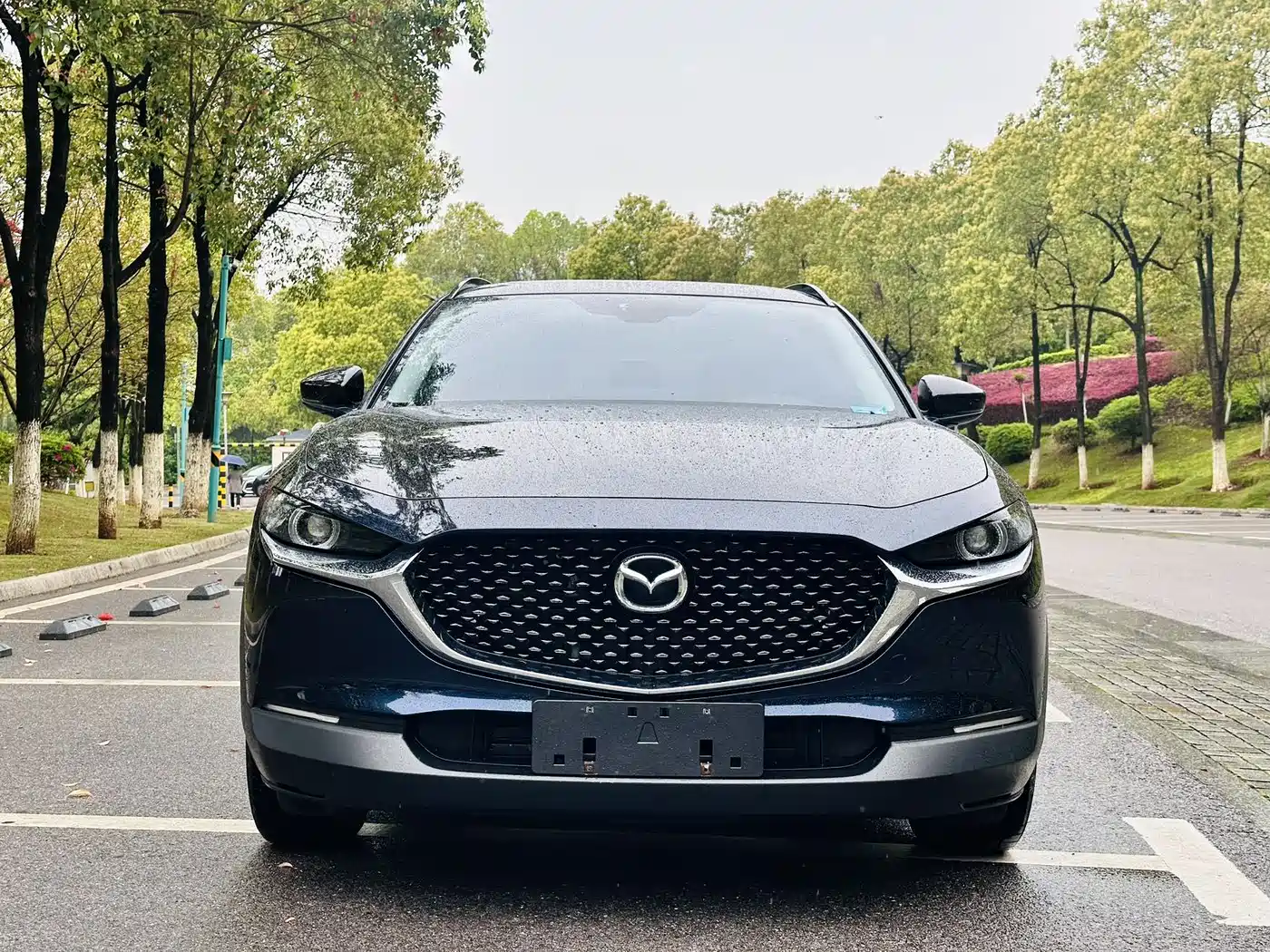  CX 30
