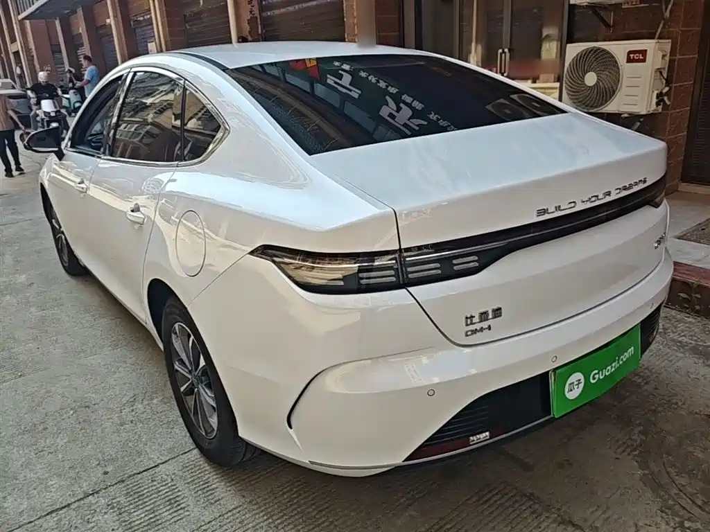 BYD Destroyer 05 2024 Glory Edition DM-i 55KM Luxury фото 5