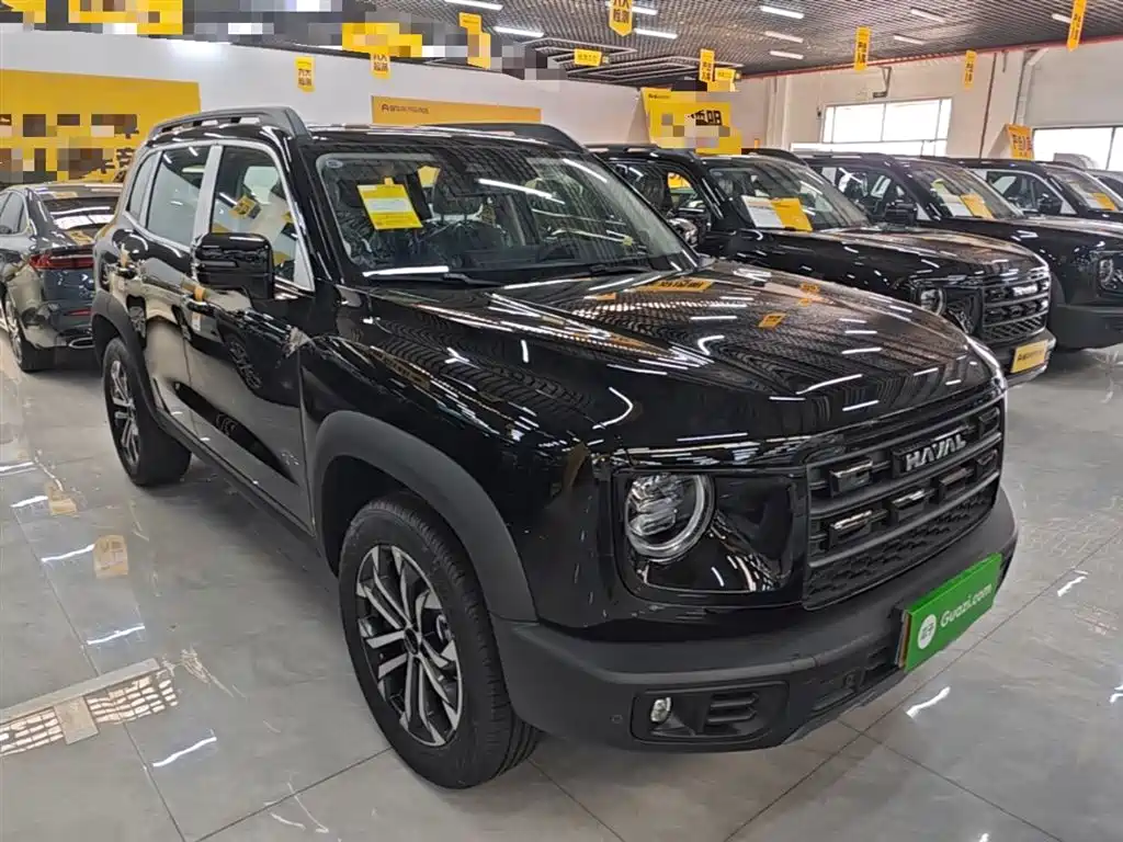 Haval Big Dog 2026 Model 1.5T High Configuration фото 4