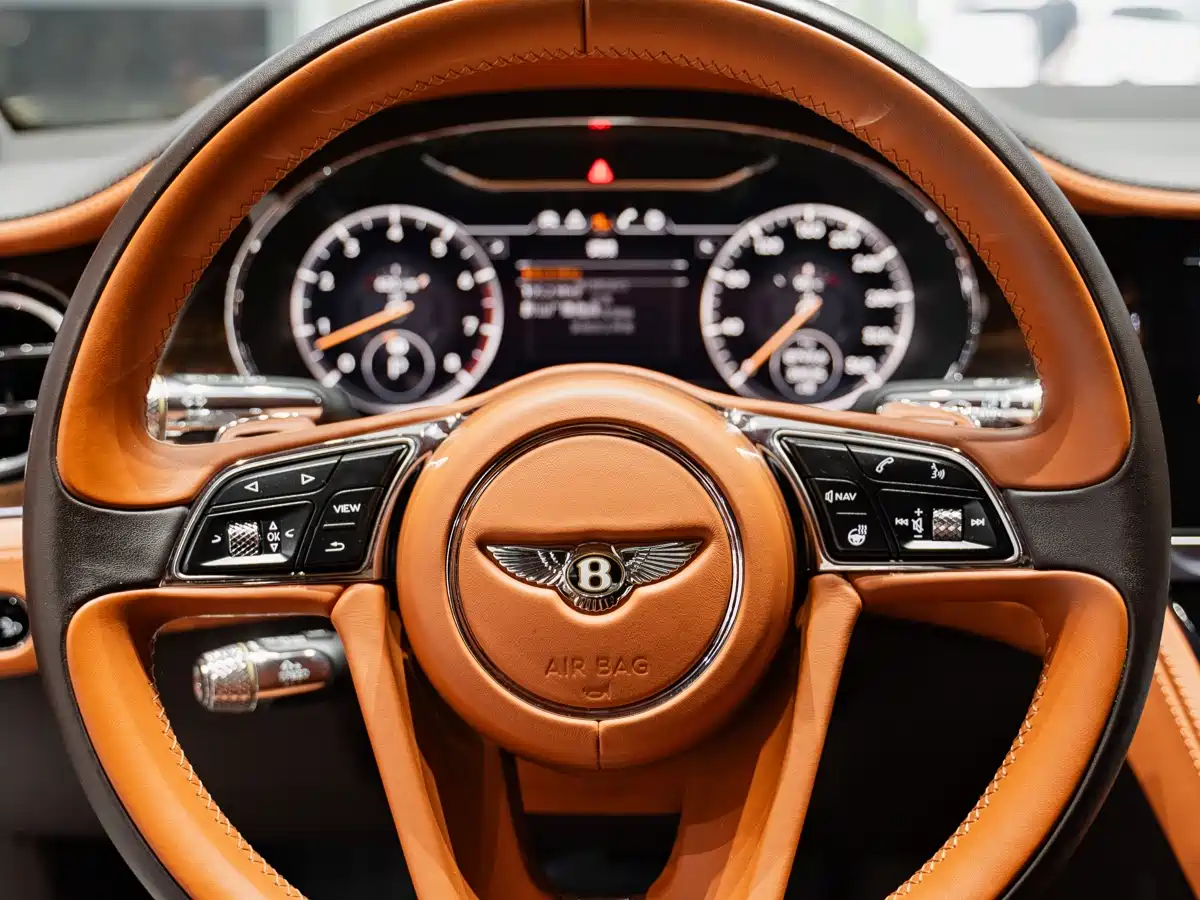 Bentley Continental 2018 6.0T GT W12 фото 28