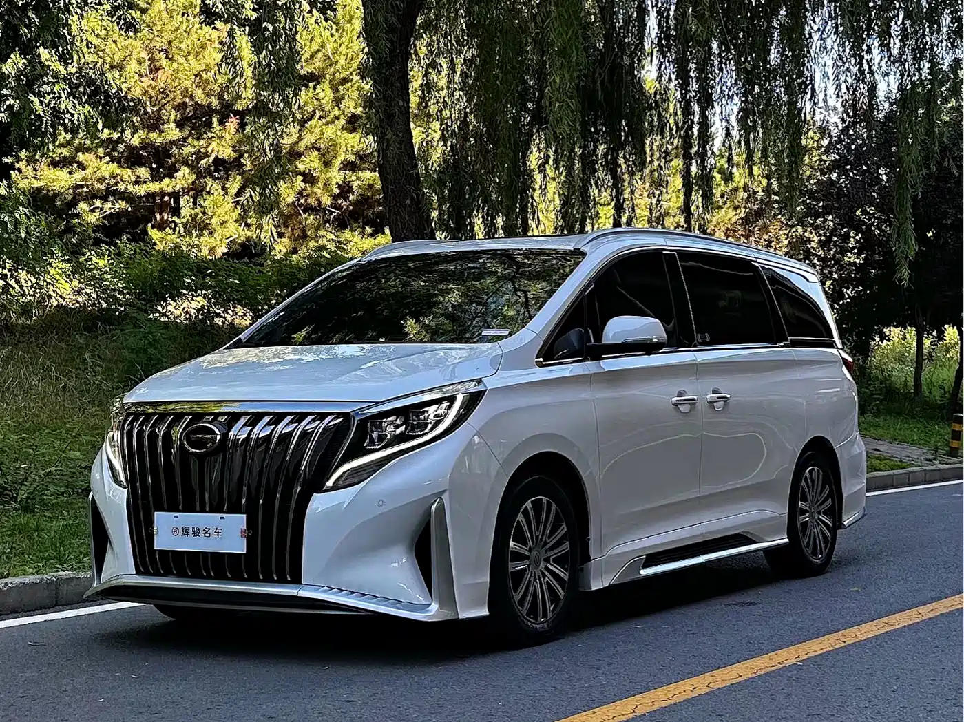 GAC Trumpchi Trumpchi M8 2021 Master Series 390T Prestige Edition