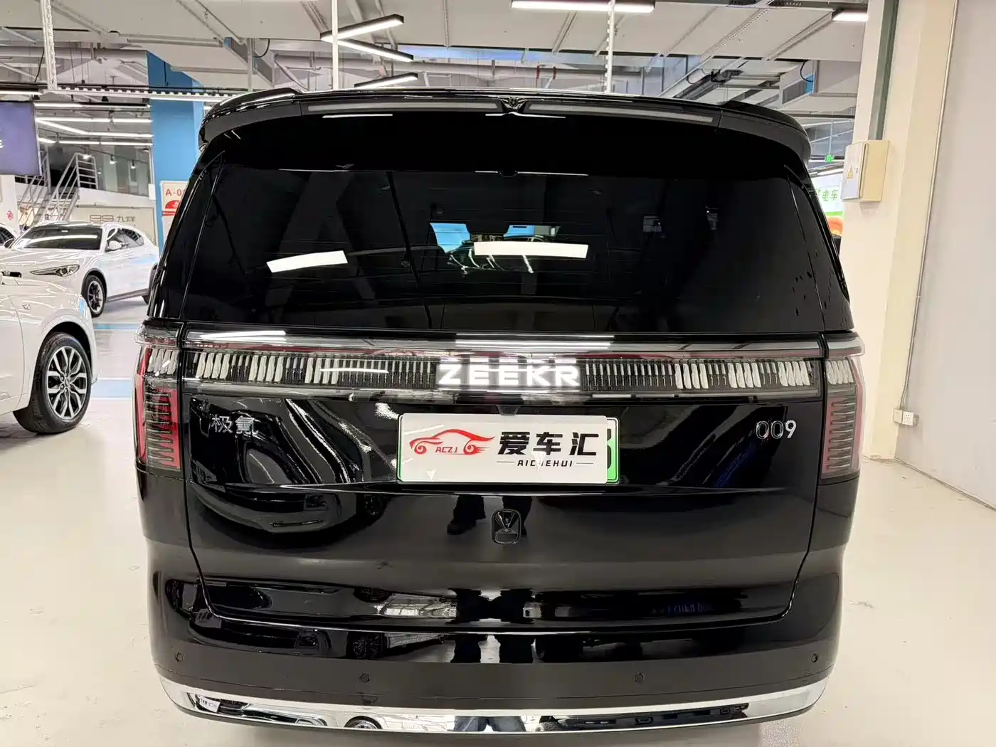 ZEEKR EXTREME KRYPTON 009