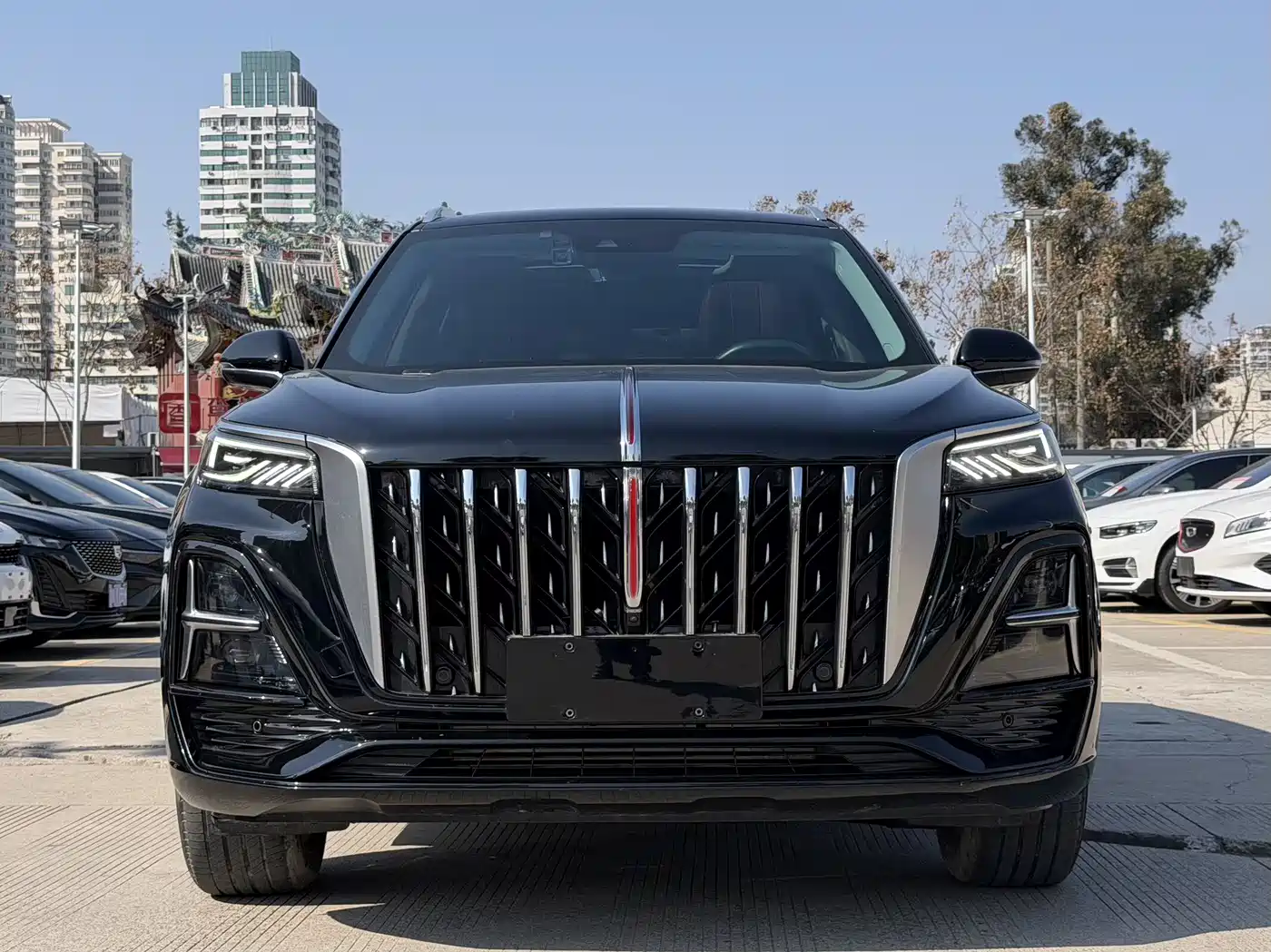 Hongqi HS5 2023 2.0T Flag Enjoy Pro Edition фото 2