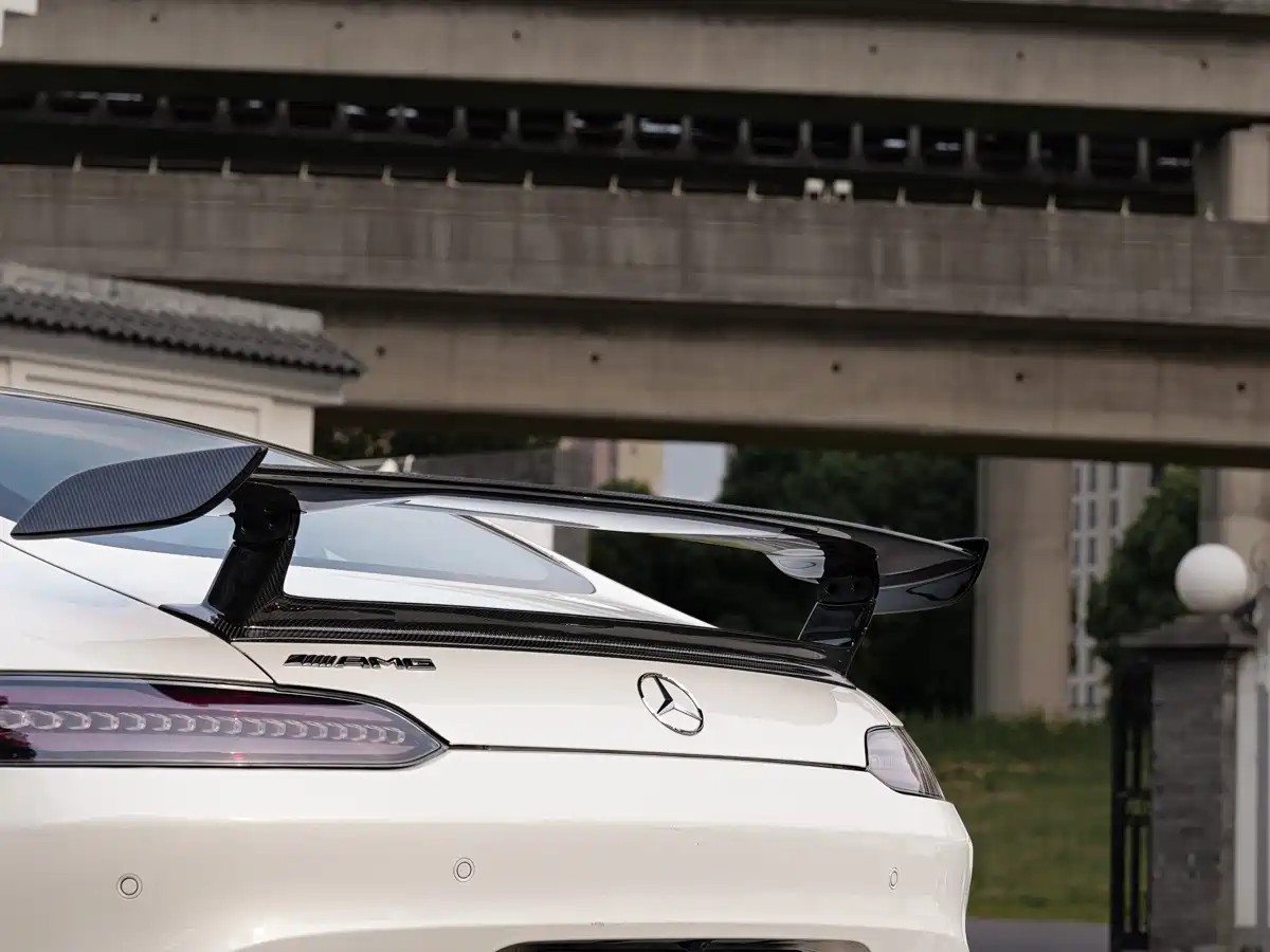 Mercedes-Benz AMG GT 2019 AMG GT фото 6