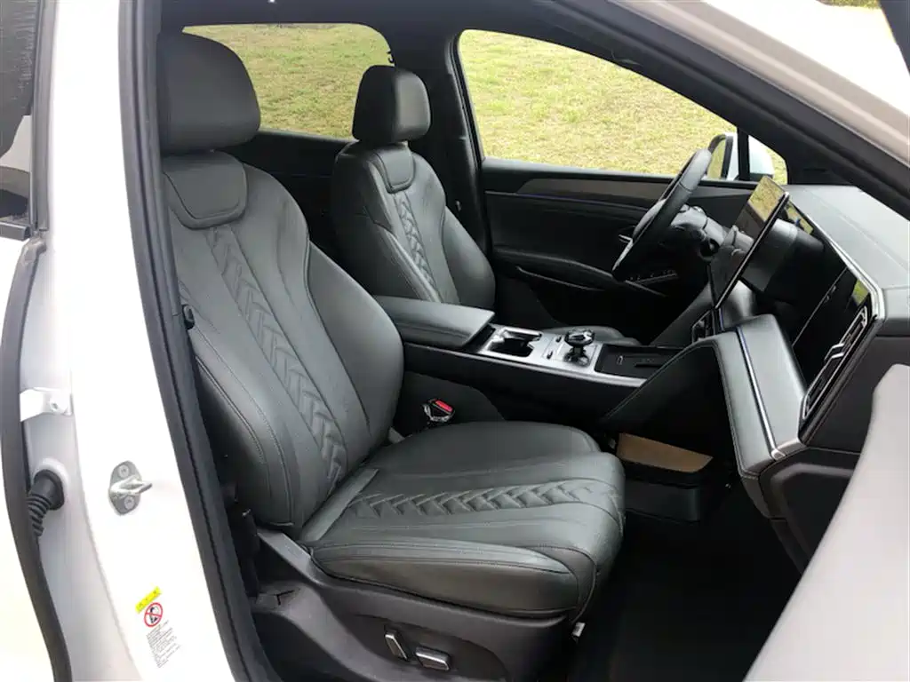 BYD Song L DM-i 2025 Smart Drive 160km Premium фото 13