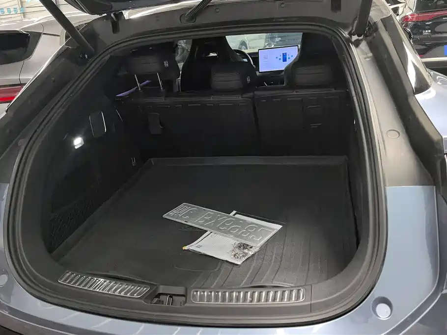 BYD Sealion 07 EV 2024 610 Long Range Edition фото 4