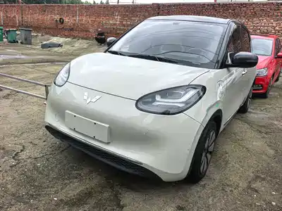 Wuling Bingo