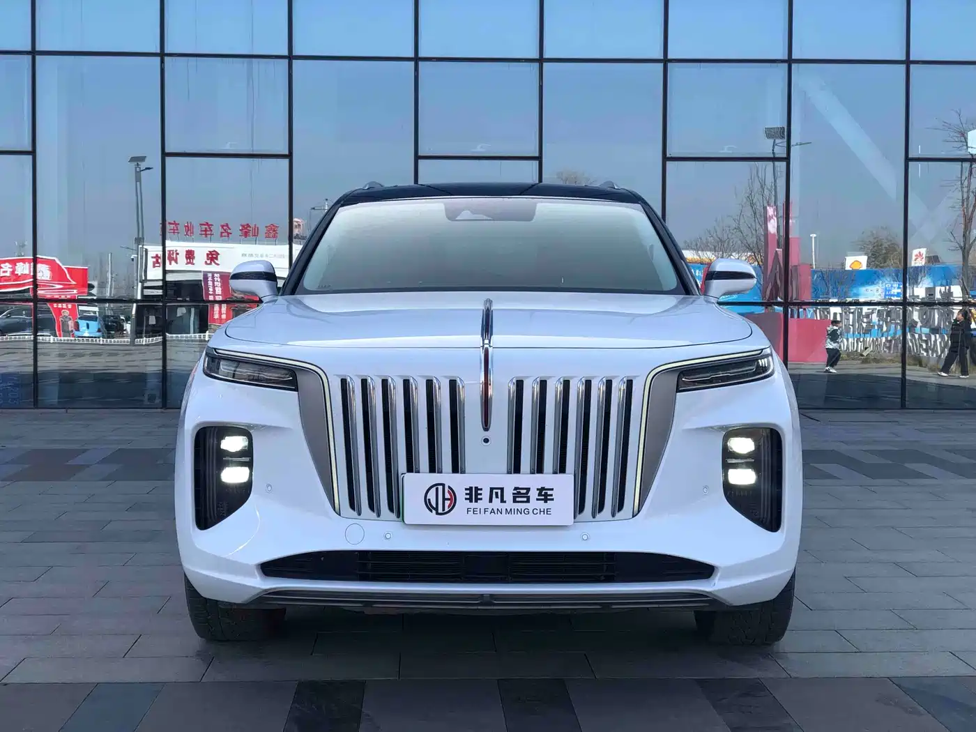 Hongqi E-HS9 2022 660km Qi Chang Edition (6-seater) фото 3