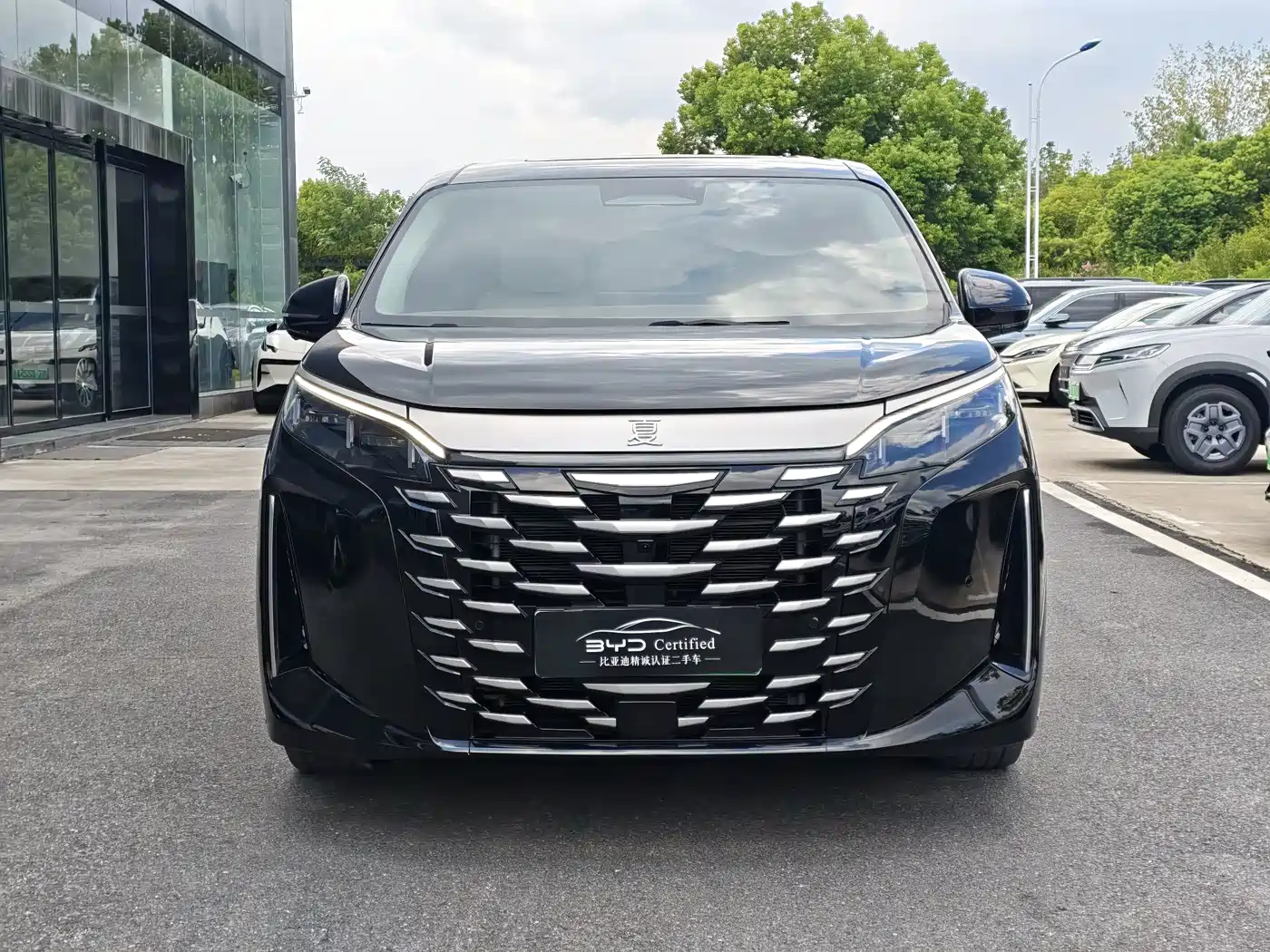 2025 BYD Xia
