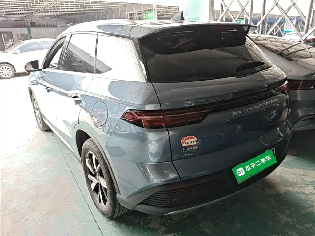 BYD Song Pro New Energy 2024 Glory Edition DM-i 71KM Pilot фото 5