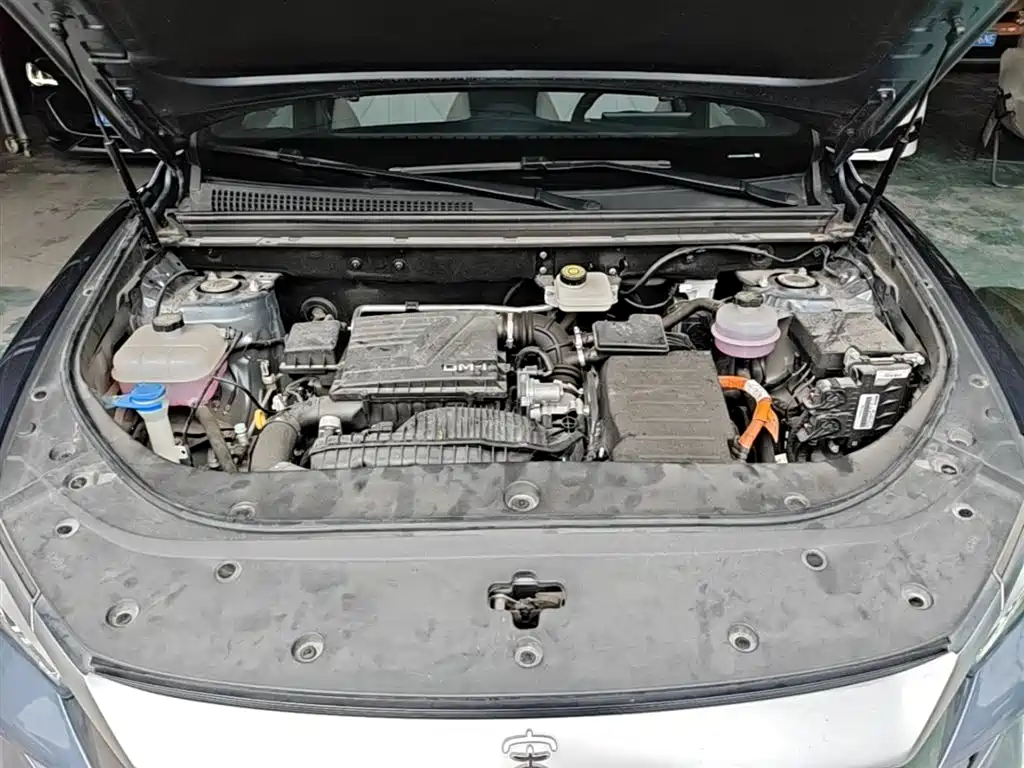 BYD Song Pro New Energy 2024 Glory Edition DM-i 71KM Pilot фото 20