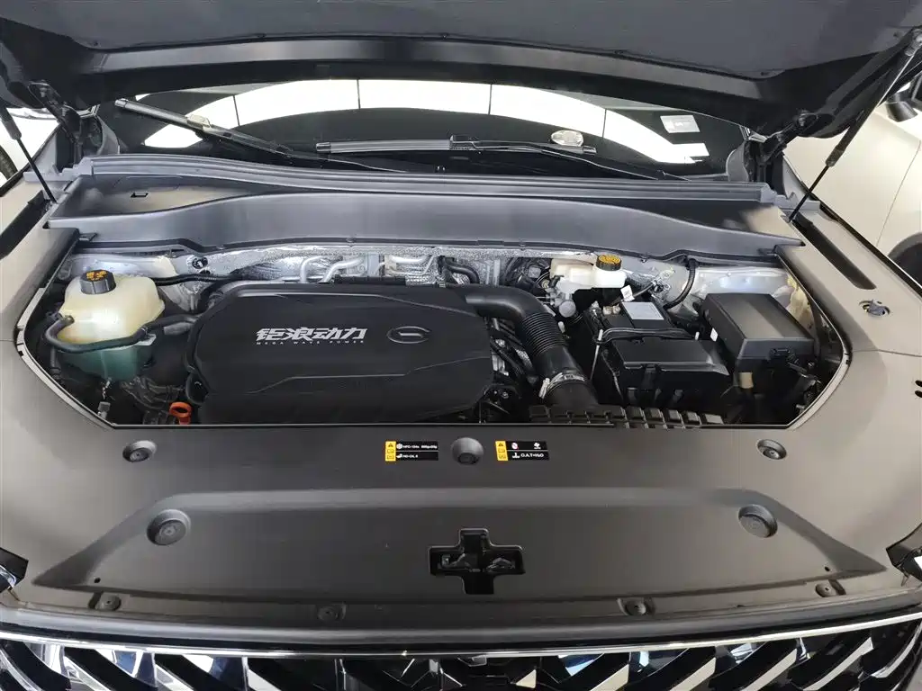 GAC Trumpchi Trumpchi GS8 2022 Pilot Series 2.0TGDI 2WD Luxury Smart Connect Edition (7-Seater) фото 16