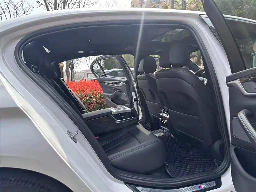 BMW 5 Series 2018 530Li Premium M Sport Package фото 13