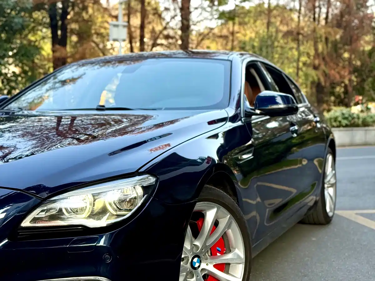BMW 6 Series 2016 640i xDrive Gran Coupe фото 4