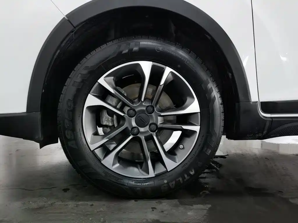 Geely Geometry EX3 Kung Fu Bull 2022 2021 Strong Bull