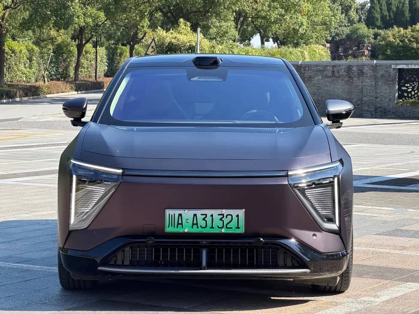 HiPhi Y 2023 2023 765km Flagship Edition