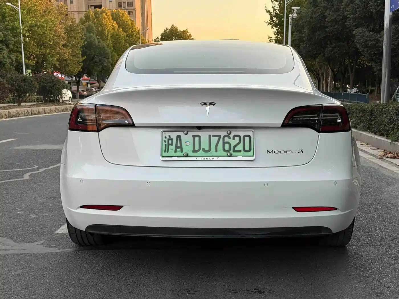 TESLA MODEL 3