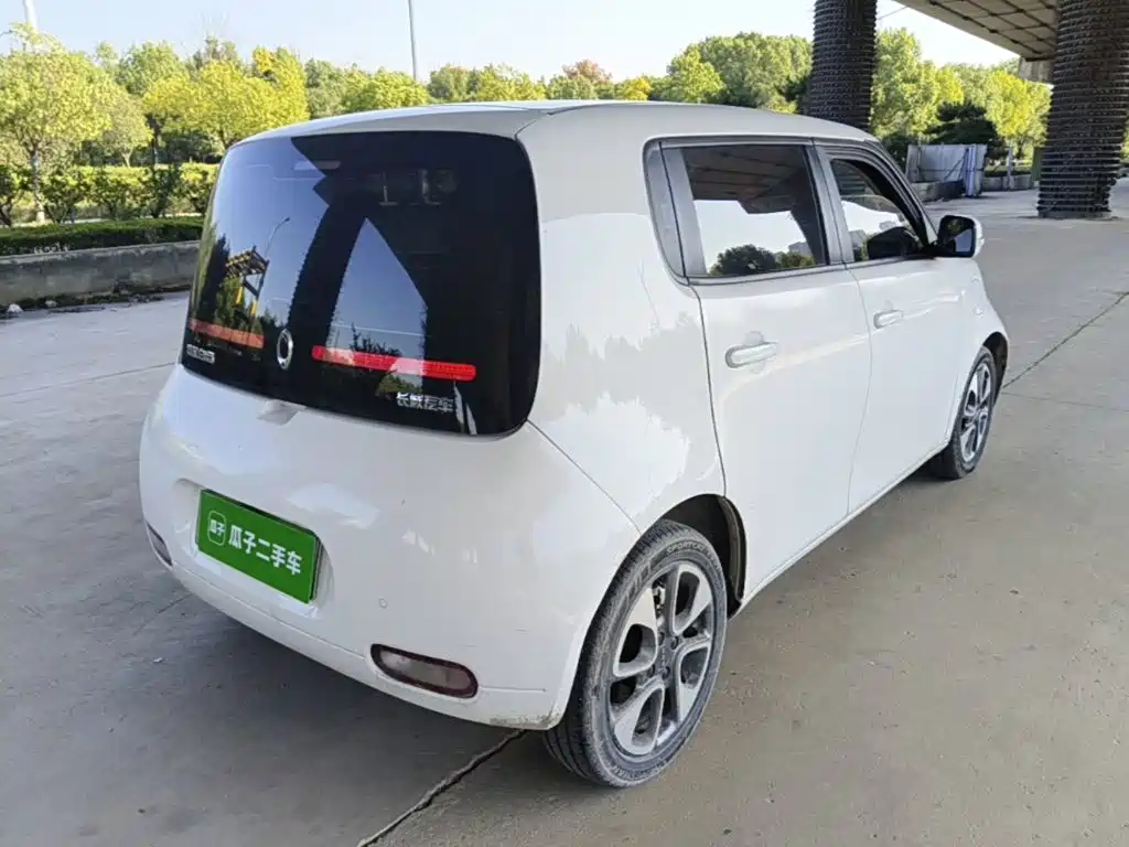 Ora White Cat 2021 2020 305km Luxury