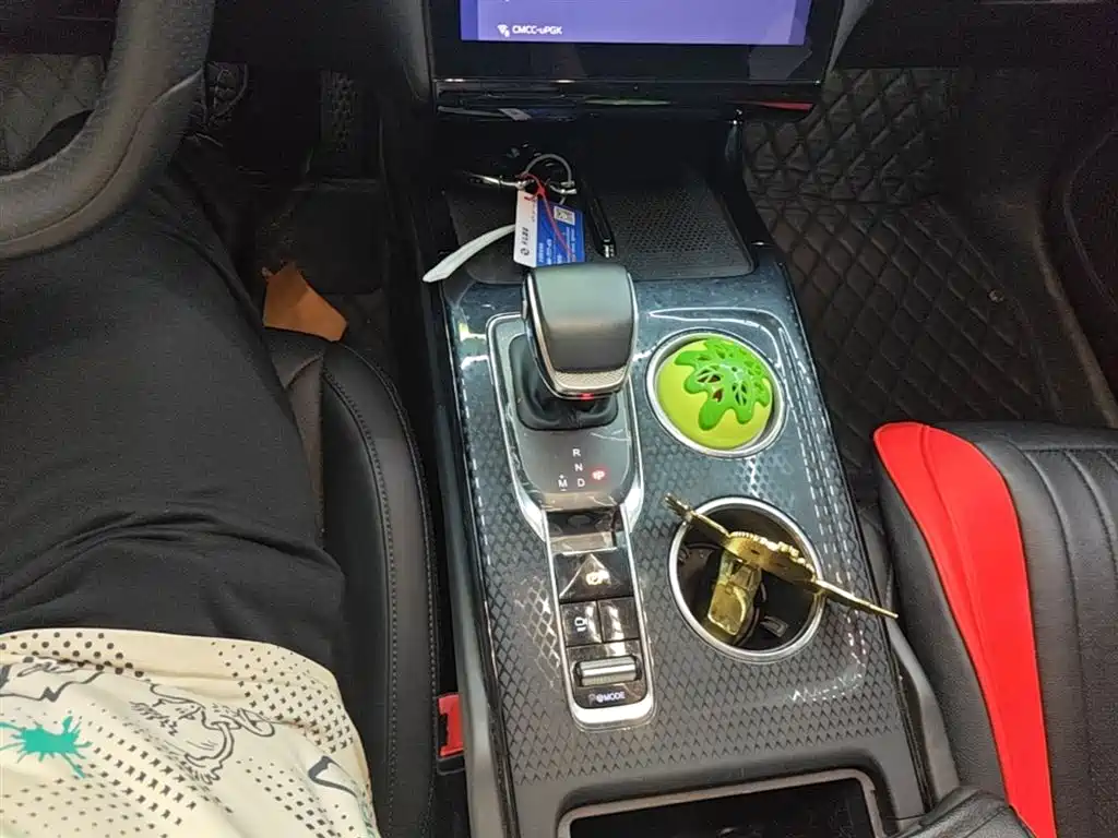 Hongqi HS3 2023 1.5T 2WD Virtue Edition фото 14