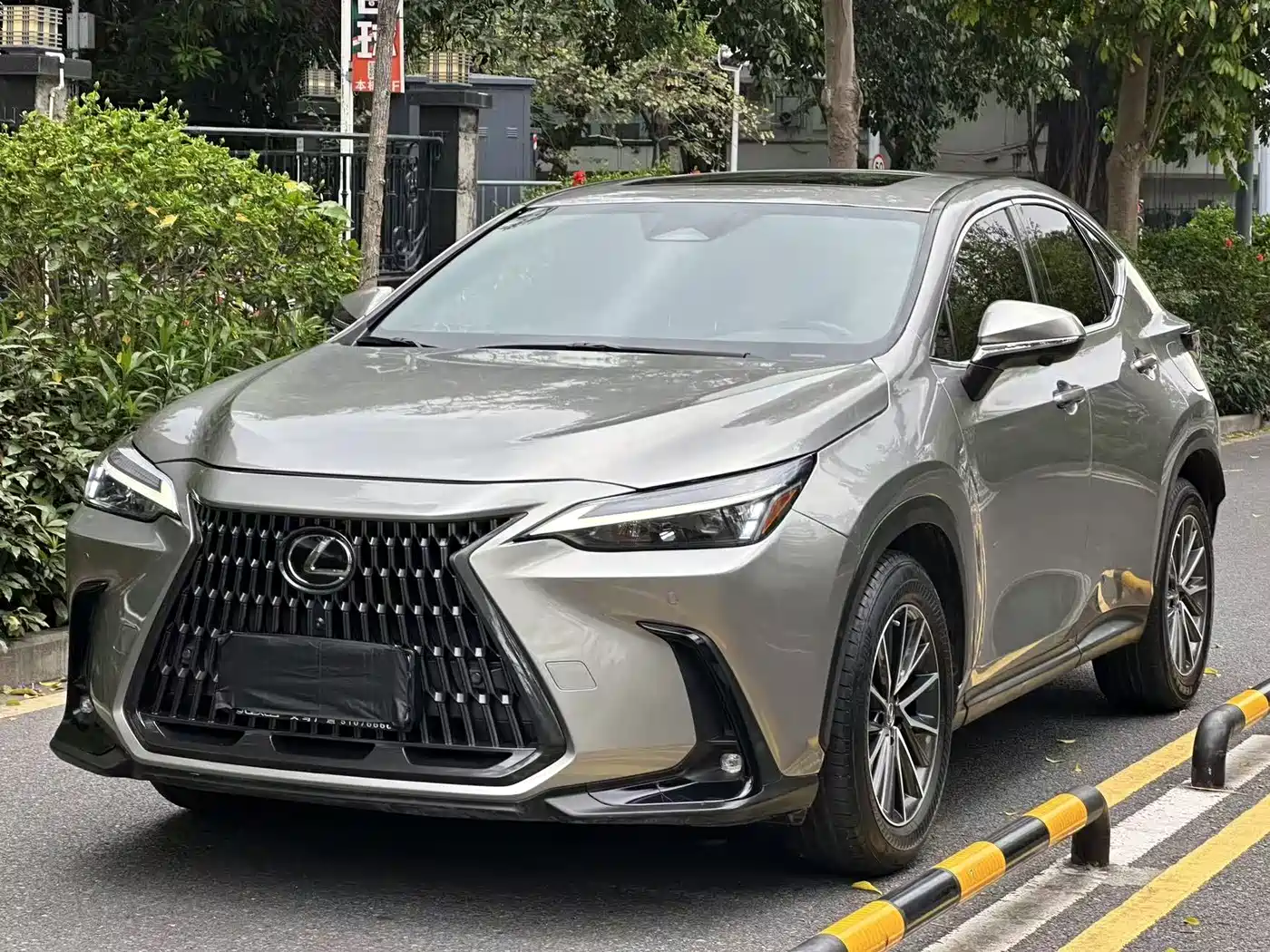 LEXUS NX
