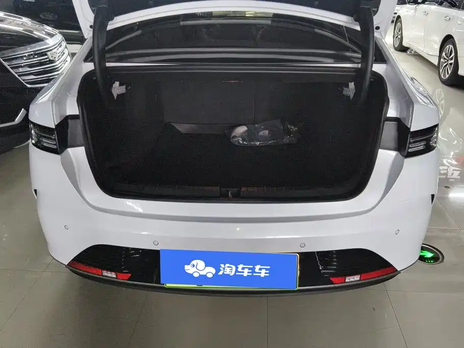 BYD Destroyer 05 2025 2024 Glory Edition DM-i 55KM Luxury