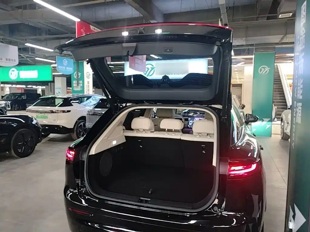 Voyah Auto Voyah Zhiyin 2025 Base фото 19