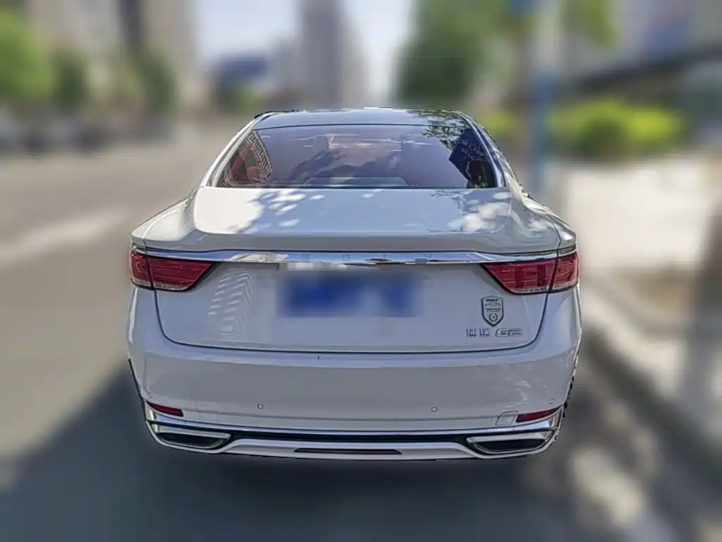 Фото 8 - Geely Borui