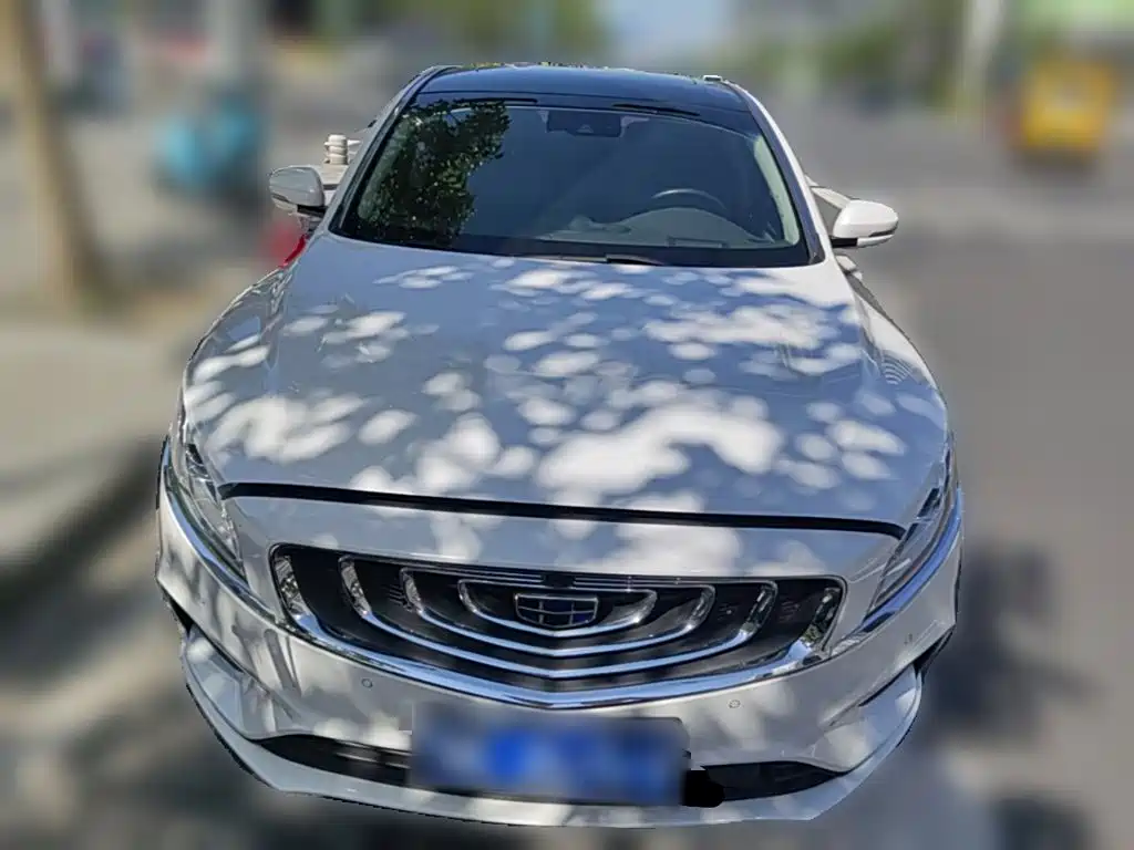 Фото 5 - Geely Borui