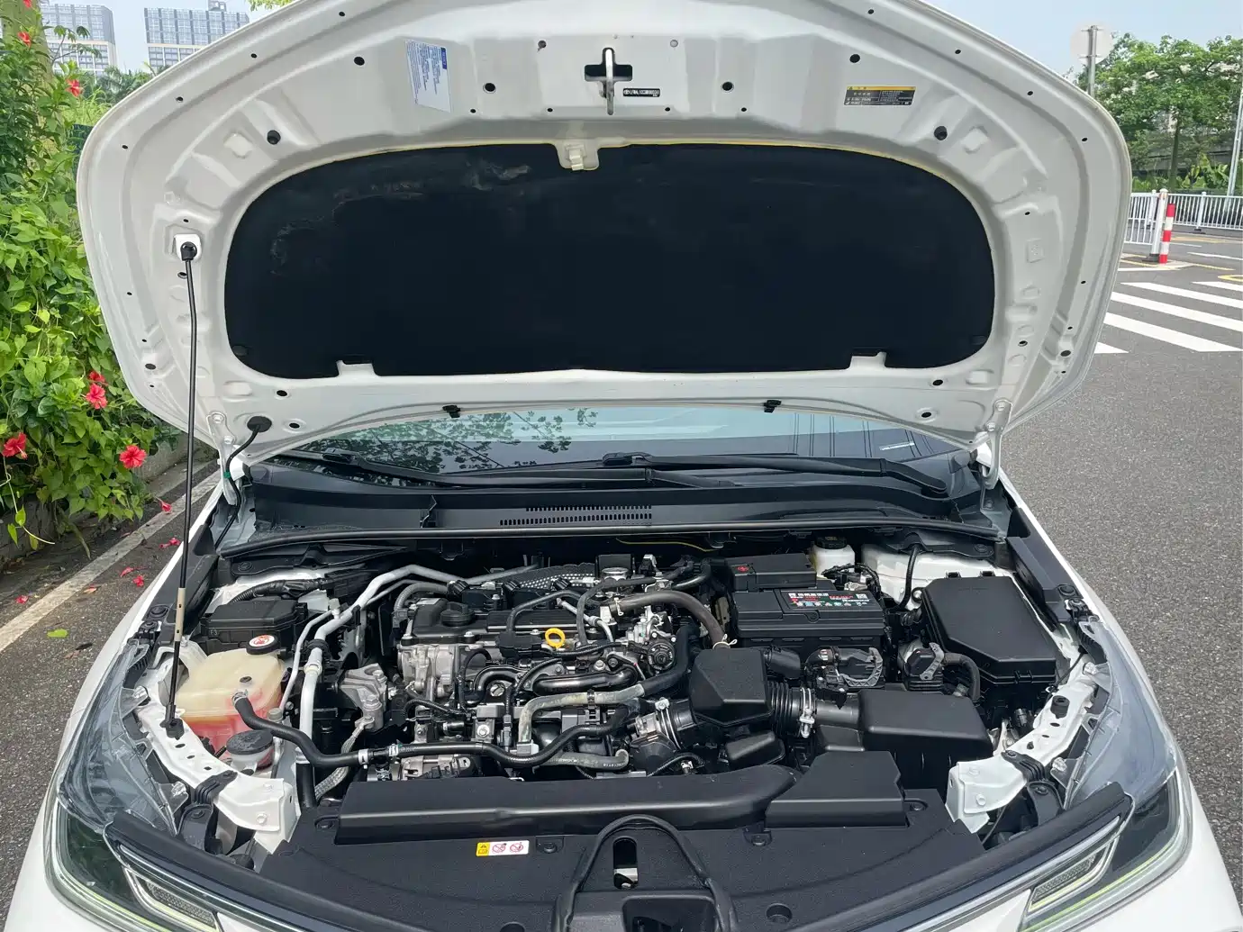 Photo 26 - Toyota Corolla