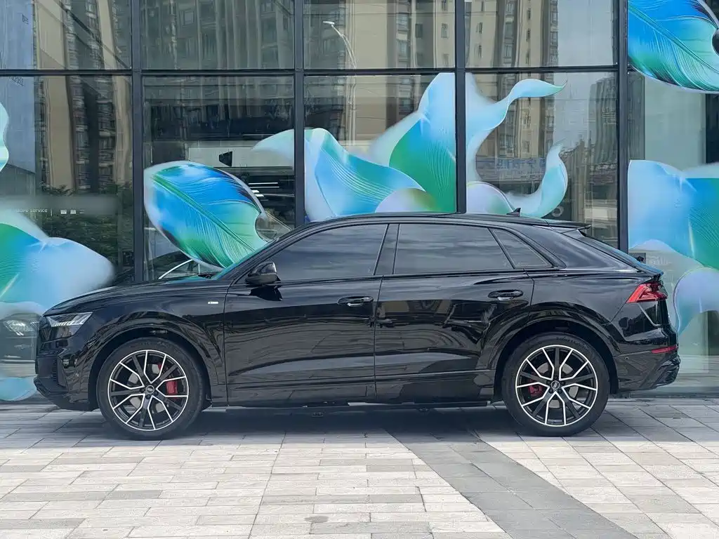 Audi Q8 2023 2023 55 TFSI Exclusive Sport