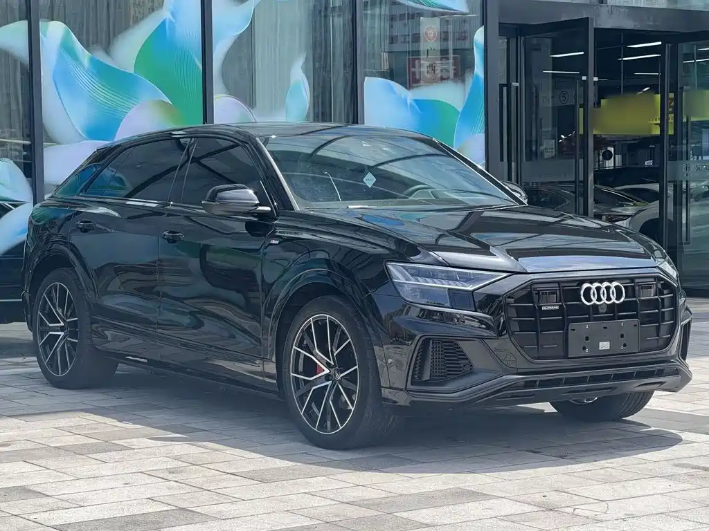 Audi Q8 2023 2023 55 TFSI Exclusive Sport