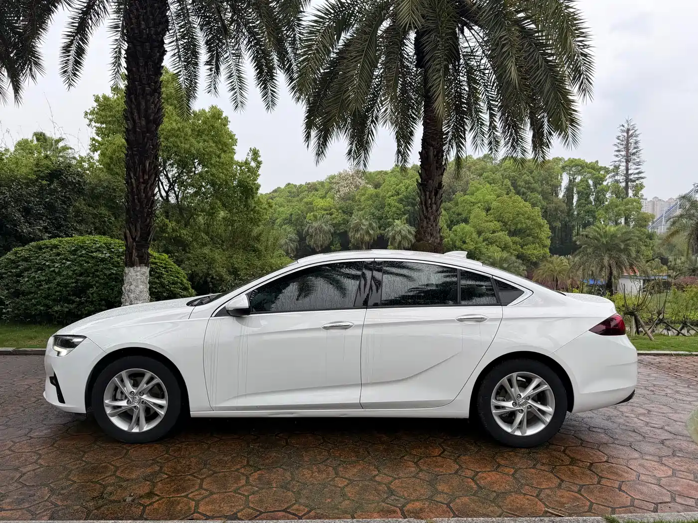 Buick Regal 2020 552T Elite фото 4