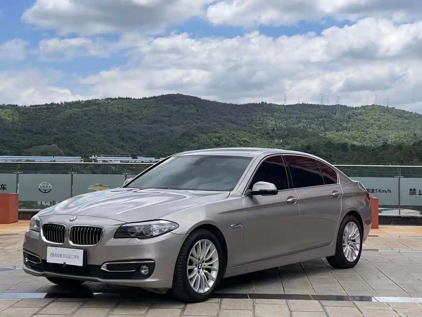 BMW 5 Series 2014 525Li Luxury Design Package