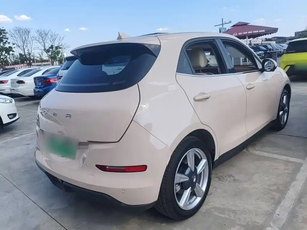 Ora Good Cat 2024 2023 401km Standard Range Premium LFP