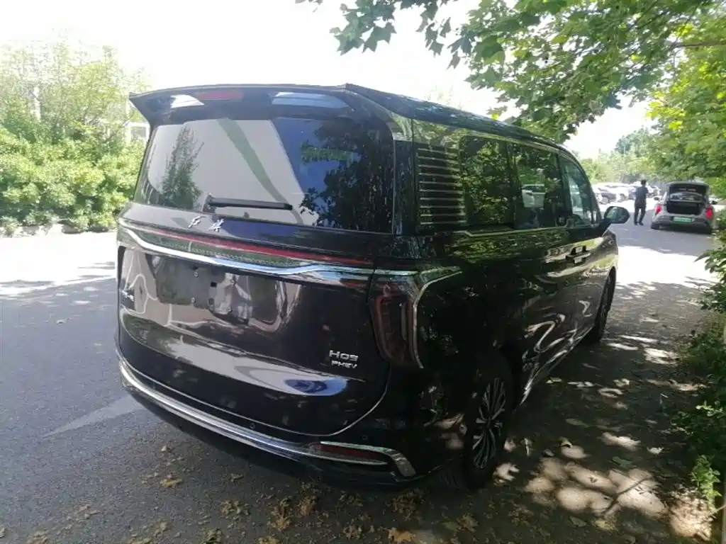 Hongqi HQ9 PHEV 2024 Model 2.0T AWD Business Edition фото 5