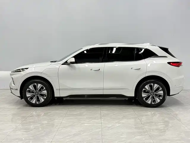 Фото 2 - Buick E5