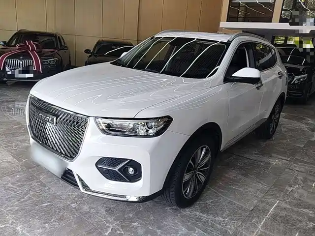  Haval Haval H6 2021 Model 1.5T Automatic Champion Edition