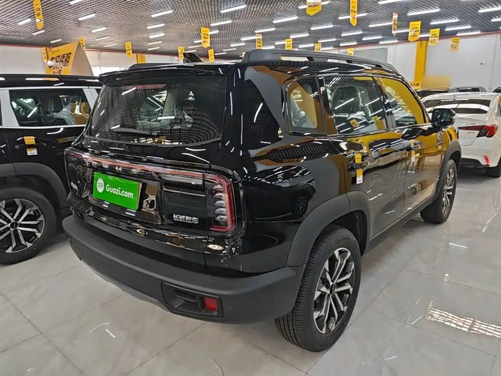 Haval Big Dog 2026 Model 1.5T High Configuration фото 7