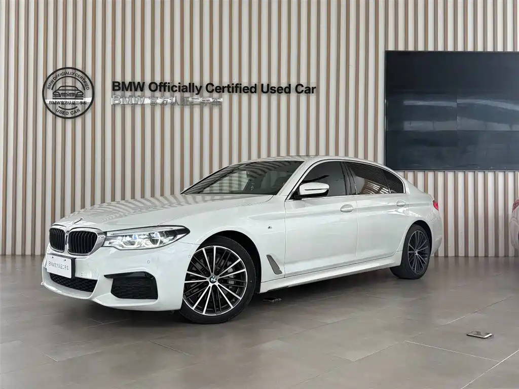 BMW 5 Series 2020 530Li Leading M Sport Package