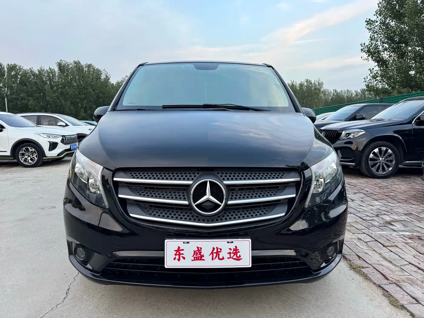 Mercedes-Benz Vito 2020 2.0T Elite Edition (7-seater) фото 2